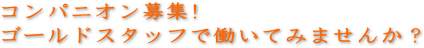 コンパニオン募集!ゴールドスタッフで働いてみませんか？