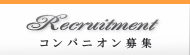 コンパニオン募集